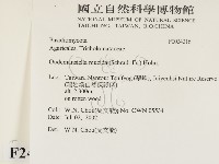 登錄號:F0024216藏品圖，第2張