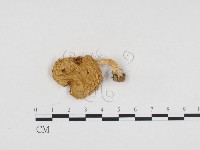 登錄號:F0024216藏品圖，第1張