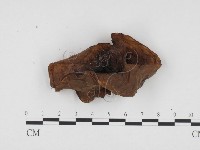 登錄號:F0024218藏品圖，第3張