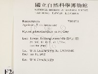 登錄號:F0024221藏品圖，第2張