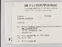 炭角菌屬藏品圖，第2張