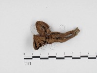 登錄號:F0024227藏品圖，第1張