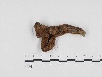登錄號:F0024227藏品圖，第3張