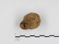 登錄號:F0024228藏品圖，第1張