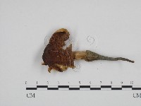 登錄號:F0024231藏品圖，第3張