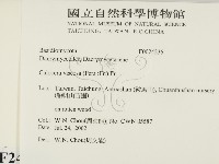 登錄號:F0024236藏品圖，第2張