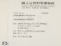 登錄號:F0024237藏品圖，第2張