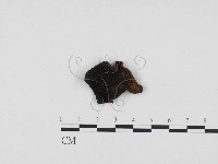 登錄號:F0024237藏品圖，第1張