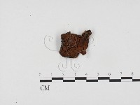 登錄號:F0024237藏品圖，第3張