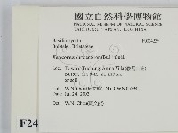 登錄號:F0024239藏品圖，第2張