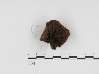 登錄號:F0024240藏品圖，第1張