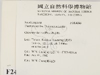 登錄號:F0024245藏品圖，第2張