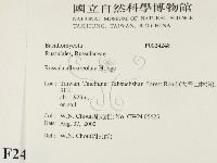 登錄號:F0024248藏品圖，第2張
