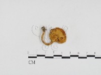 登錄號:F0024249藏品圖，第1張