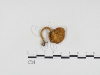 登錄號:F0024249藏品圖，第3張