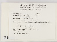 登錄號:F0024251藏品圖，第2張