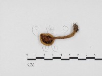 登錄號:F0024252藏品圖，第3張