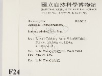 登錄號:F0024256藏品圖，第2張