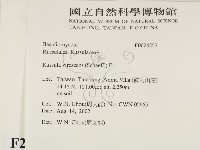 登錄號:F0024257藏品圖，第2張