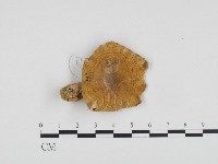 登錄號:F0024257藏品圖，第1張