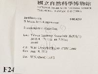 登錄號:F0024259藏品圖，第2張