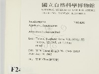 登錄號:F0024260藏品圖，第2張