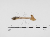 登錄號:F0024260藏品圖，第1張