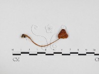 登錄號:F0024263藏品圖，第3張
