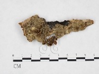 登錄號:F0024264藏品圖，第1張