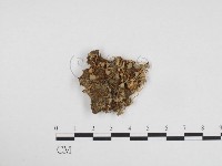 登錄號:F0024265藏品圖，第1張
