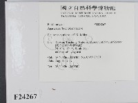 登錄號:F0024267藏品圖，第2張