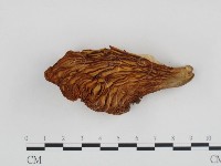 登錄號:F0024267藏品圖，第3張