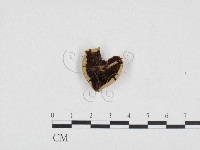 登錄號:F0024271藏品圖，第1張