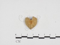 登錄號:F0024271藏品圖，第3張
