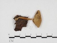 登錄號:F0024272藏品圖，第1張