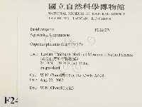 登錄號:F0024274藏品圖，第2張