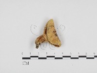 登錄號:F0024278藏品圖，第1張