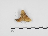 登錄號:F0024278藏品圖，第3張