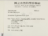 登錄號:F0024279藏品圖，第2張