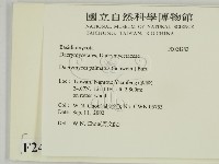 登錄號:F0024282藏品圖，第2張