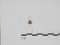 登錄號:F0024282藏品圖，第1張