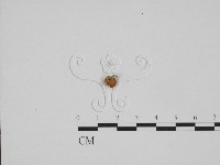 登錄號:F0024282藏品圖，第3張