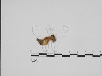 登錄號:F0024283藏品圖，第3張