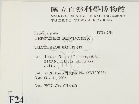 登錄號:F0024284藏品圖，第2張