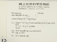 登錄號:F0024287藏品圖，第2張