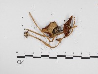 登錄號:F0024287藏品圖，第3張