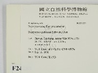 登錄號:F0024289藏品圖，第2張