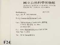 登錄號:F0024291藏品圖，第2張
