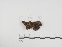 登錄號:F0024291藏品圖，第1張