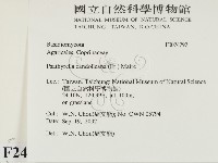 登錄號:F0024292藏品圖，第2張